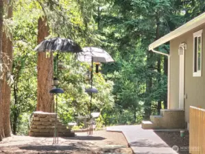 Delightful side yard.  bird sanctuary
