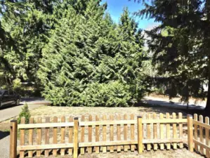 Cedars in front give privacy from the road.