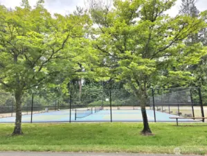 Tennis