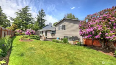 Perfect for all your outdoor activities!