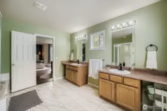 Large Primary Bathroom