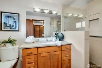 Priamary bathroom with step in shower.