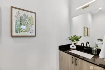 Large Living Level Powder Room.