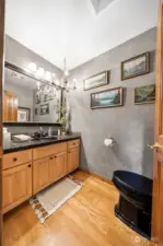 Main home. Main floor bathroom.