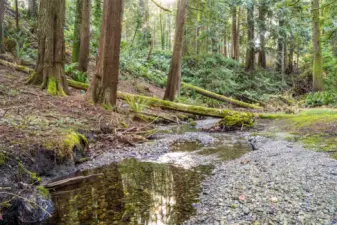 The tranquil Clear Creek runs through the property!