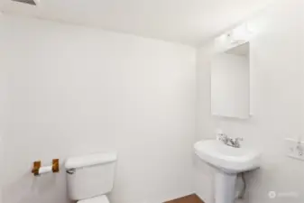 Lower level bathroom