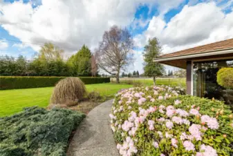 Mature easy care landscape