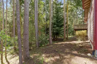 Back Yard, Looking at Trails