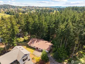 Ariel showing the forrest neighborhood next to the home