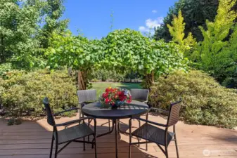 Deck from French doors looking through grape covered arbor to lawn
