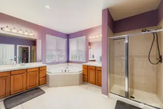 BEAUTIFUL PRIMARY BATHRM SUITE W/, DUAL SINKS, SOAKING TUB, & WALK-IN CLOSET.