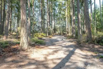 Looking up the road toward the Henni Rd entrance on the North.