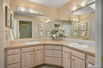 Master bathroom