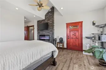 Primary bedroom fireplace