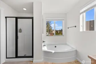 Master bath & tub
