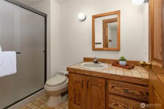 Lower level 3/4 bathroom