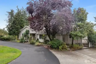 Freshly sealed asphalt driveway with parking space to the right