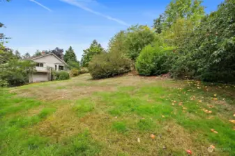 Side yard with mature fruit trees (apple, plum, cherry)