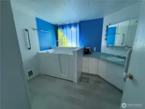 Primary vanity