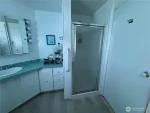 Shower in primary also