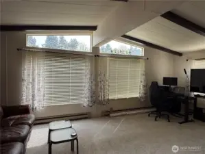 Living room vaulted ceilings