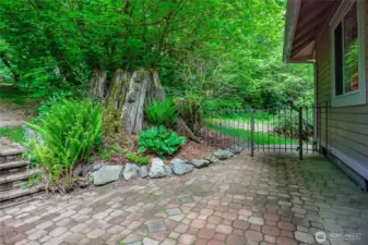 back patio