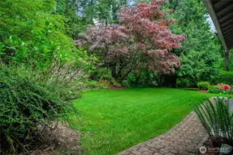 Side yard - beautiful lower maintenance    landscaping