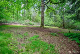 A view of upper backyard under tree cover = private and peaceful