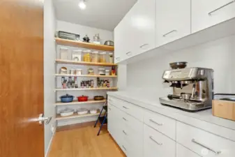 Huge walk-in pantry