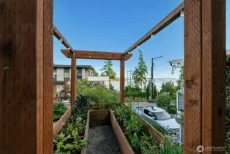 Garden space in front yard