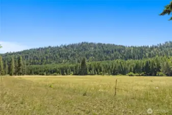 Meadow views. Where the wildlife roam!