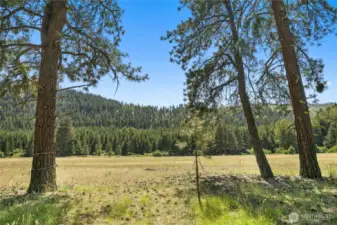 Take in Meadow and Ridge views while soaking in the sun!