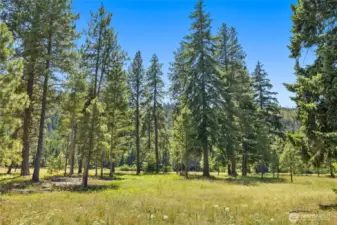 Flat Level Homesite!