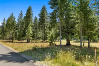 Front Right Corner of Homesite