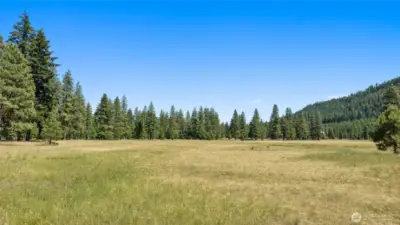 Domerie Meadow