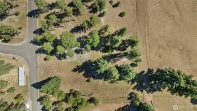 Overview of homesite