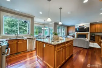 Light and bright kitchen facing the Family room.