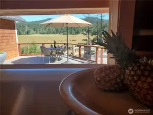 View from kitchen.