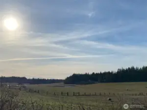 Looking southwesterly from across the field, the Cottage is tucked into the tree line above the pond. On a clear day the Olympic Mountain Range welcomes the day.
