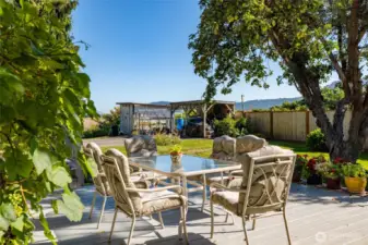 Another view of the deck, with grape vine at left, apple tree oat right, and greenhouse at back.  See Mount Baker peeking over the hills?