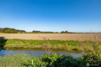 The north side of the property is bordered by the slough and farmland - quiet, pastoral views that change with the seasons.