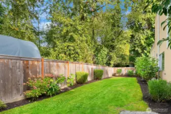 Sprawling, Grassy Yard
