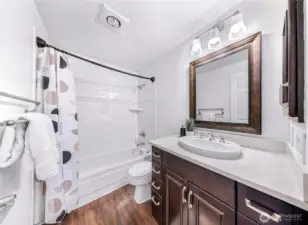 Spacious full guest bathroom.