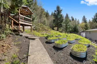 Gazebo and Garden Beds