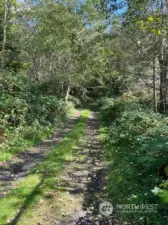 Driveway into property