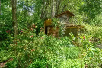 Variety of plants surrounding home.