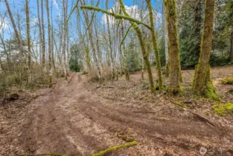 Facing South towards access road.