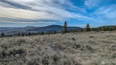 Looking West from East end of property.