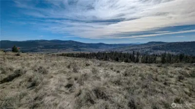 Looking SW from SE end of property.