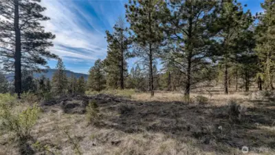 Looking West across North end of property.